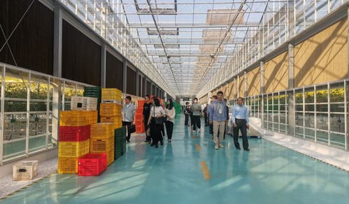 甘薯产业新动力 江西举办机械化种植提质增效技术高级研修班