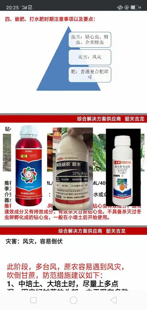 2019韶关吉龙农业产品推广与甘蔗栽培技术交流会
